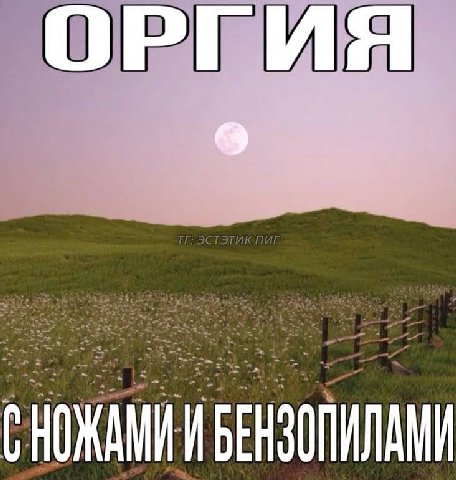 ОРГИЯ БЕНЗОПИЛАМИ