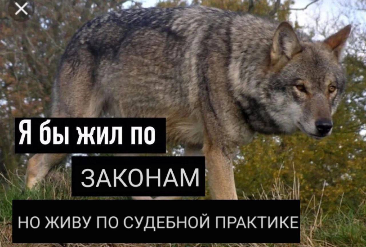 Я бы жил по ЗАКОНАМ. НО ЖИВУ ПО СУДЕБНОЙ ПРАКТИКЕ