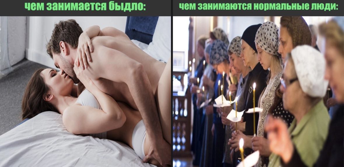 чем занимается быдло: чем занимаются нормальные люди: we a 1 bee У