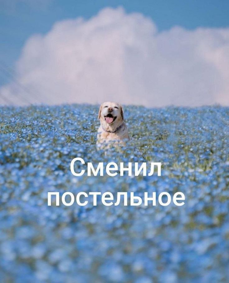 Сменил постельное