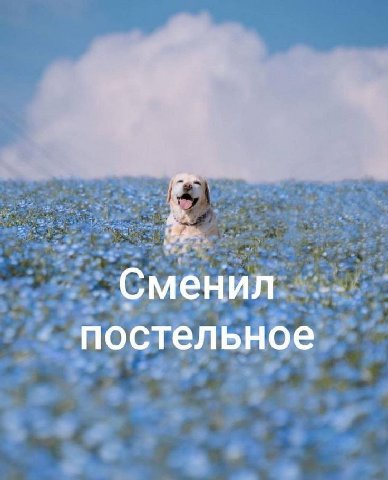Сменил постельное