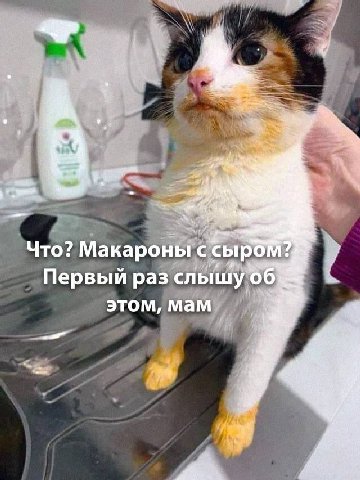 Что? Макароны с <ырб Первый раз слышу 06 этом, мам