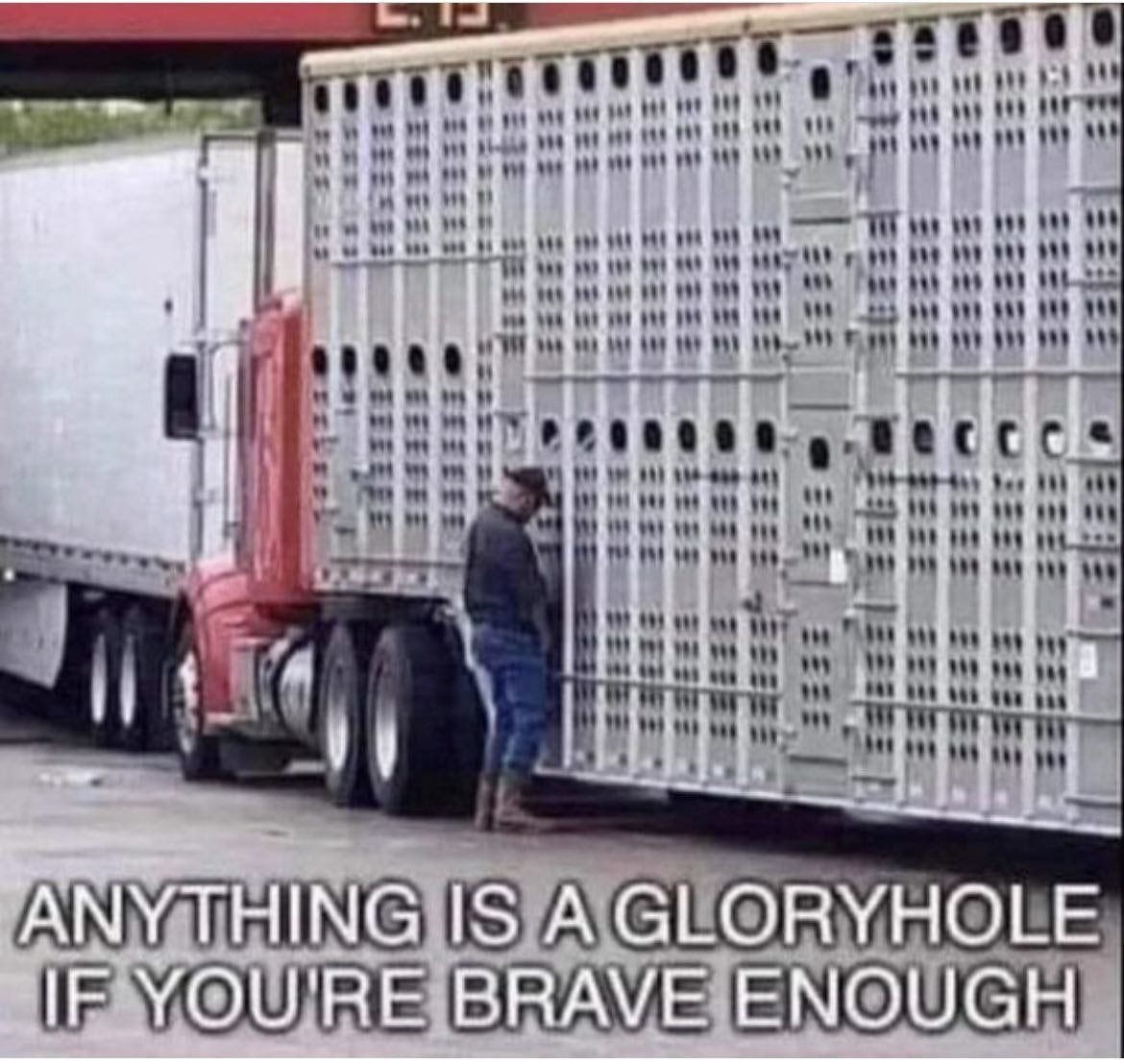 ANYTHING IS A GLORYHOLE IF YOU'RE BRAVE ENOUGH