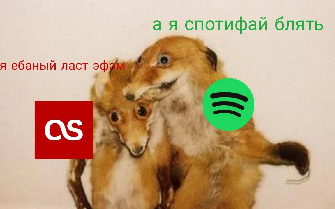а я спотифай блять я ебаный ласт