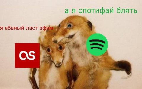 а я спотифай блять я ебаный ласт