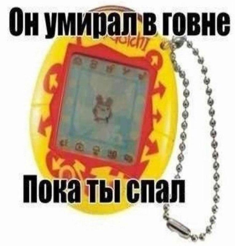 говне Покаты спал