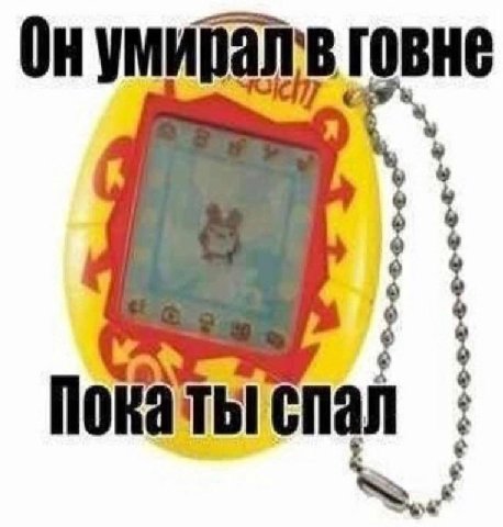 говне Покаты спал