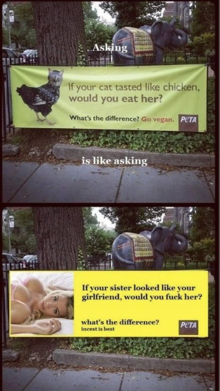 #3 Asking cat с would you eat her? What's the difference? vegan. PUTA 15 like asking If your sister looked like your girlfriend, would you fuck her? what's the difference? incest is best