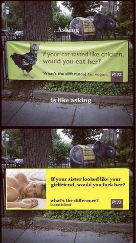 #3 Asking cat с would you eat her? What's the difference? vegan. PUTA 15 like asking If your sister looked like your girlfriend, would you fuck her? what's the difference? incest is best