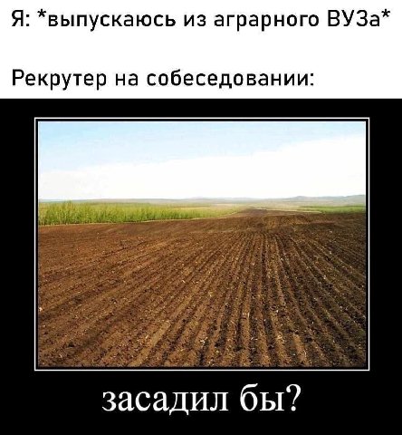 Я: *выпускаюсь из аграрного ВУЗа* Рекрутер на собеседовании: засадил бы?