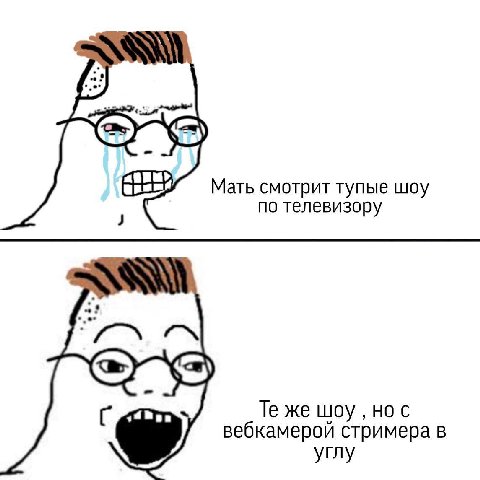 5 а Мать смотрит тупые шоу по телевизору 5 4 С же шоу нос вебкамерой стримера в углу