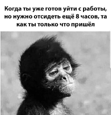 Когда ты уже готов уйти с работы, но нужно отсидеть ещё 8 часов, как ты только что пришёл
