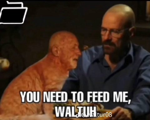 YOU NEED ТО FEED
