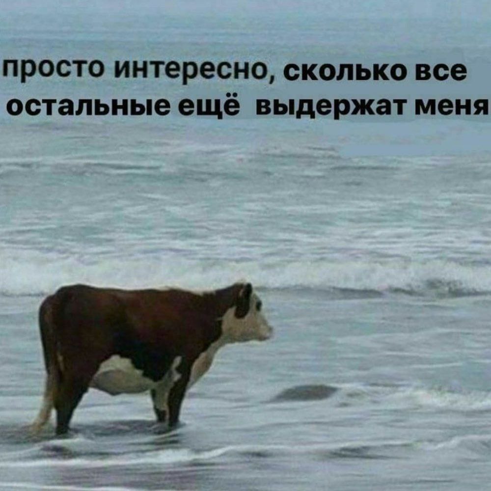 просто интересно, сколько все остальные ещё выдержат меня