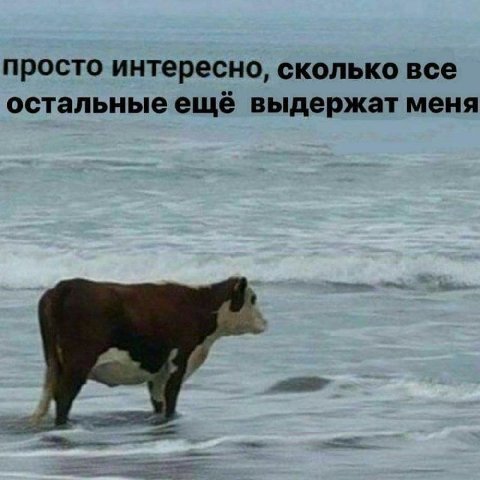 просто интересно, сколько все остальные ещё выдержат меня