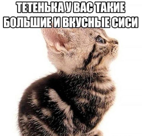 БОЛЬШИЕЙ у