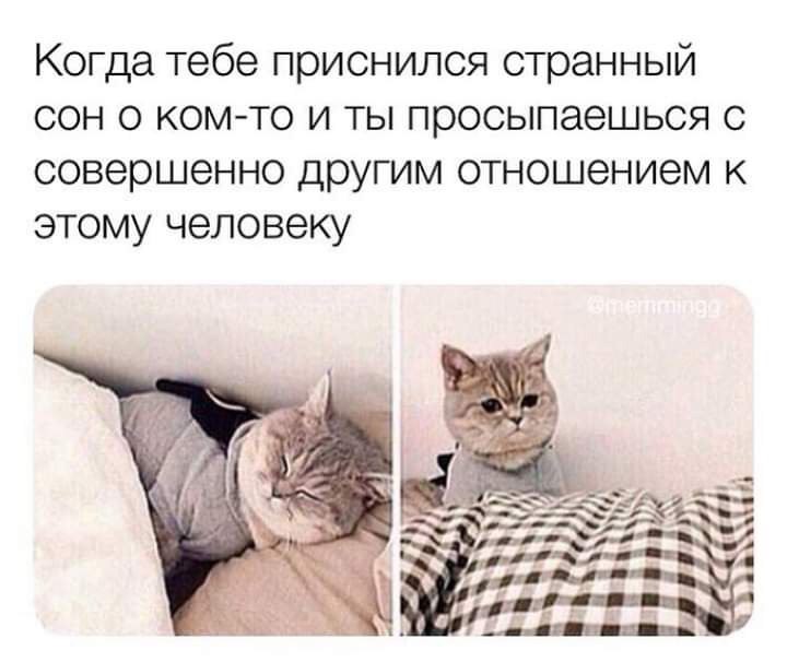 жизья