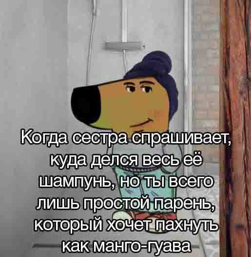 Когда сестра спрашивает, куда делся весь ее шампунь, но ты всего. лишь простой, паренв;: который как манго-гуава