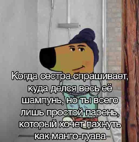 Когда сестра спрашивает, куда делся весь ее шампунь, но ты всего. лишь простой, паренв;: который как манго-гуава