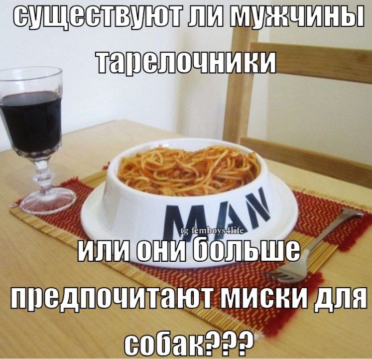 ИНЫ А femb И ЛИ они 00 предпочитают миски an Я