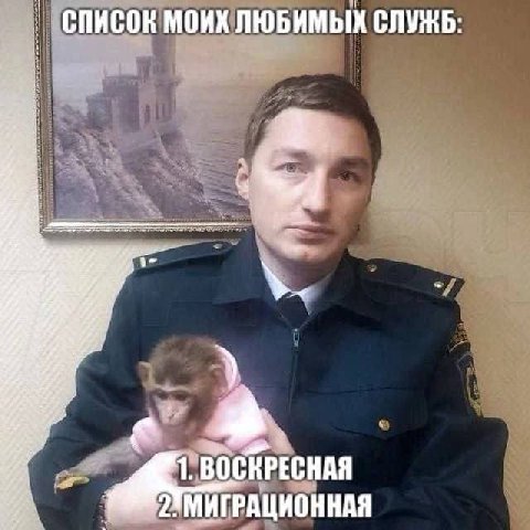 СПИСОК МОИХ ЛЮБИМЫХ СЛУЖБ. OCKPECHAA МИГРАЦИОННАЯ