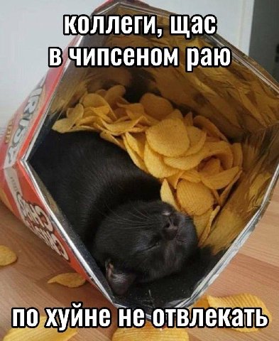 коллеги, щас „В Чипсеном раю по хуйне не отвлекать