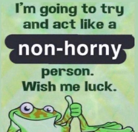 going to try and act like a non-horny person. Wish me luck.