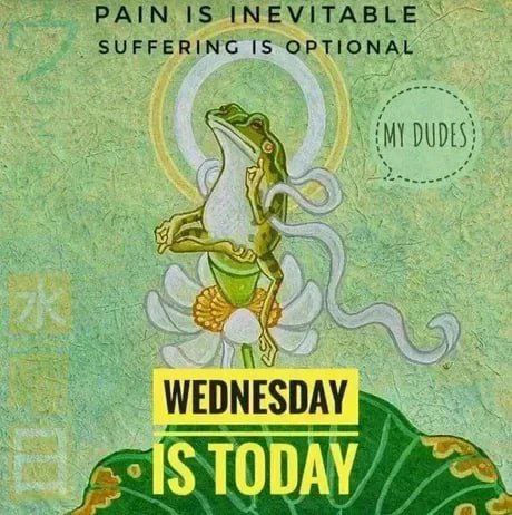 IS INEVITABLE SUFFERING 15 OPTIONAL DUDE WEDNESDAY $10