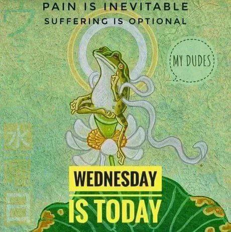 IS INEVITABLE SUFFERING 15 OPTIONAL DUDE WEDNESDAY $10