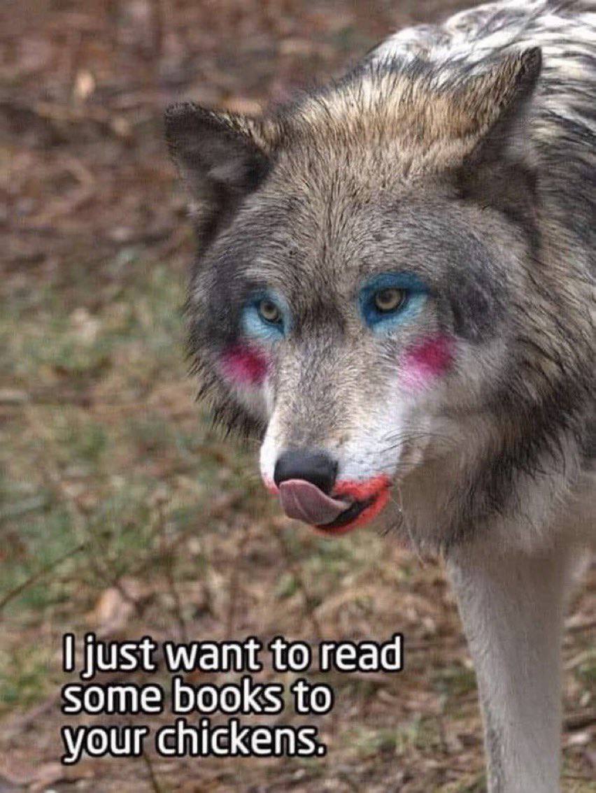 just want to read some books to your chickens.