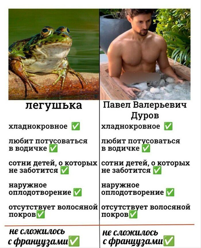 20% У» 2 легушька Павел Валерьевич Дуров хладнокровное хладнокровное любит потусоваться |любит потусоваться в водичке в водичке сотни детей, о которых детей, о которых не заботится не заботится наружн