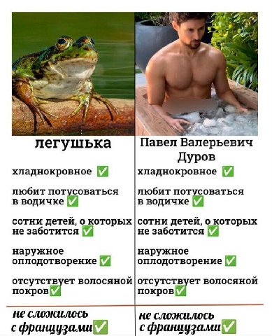 20% У» 2 легушька Павел Валерьевич Дуров хладнокровное хладнокровное любит потусоваться |любит потусоваться в водичке в водичке сотни детей, о которых детей, о которых не заботится не заботится наружн