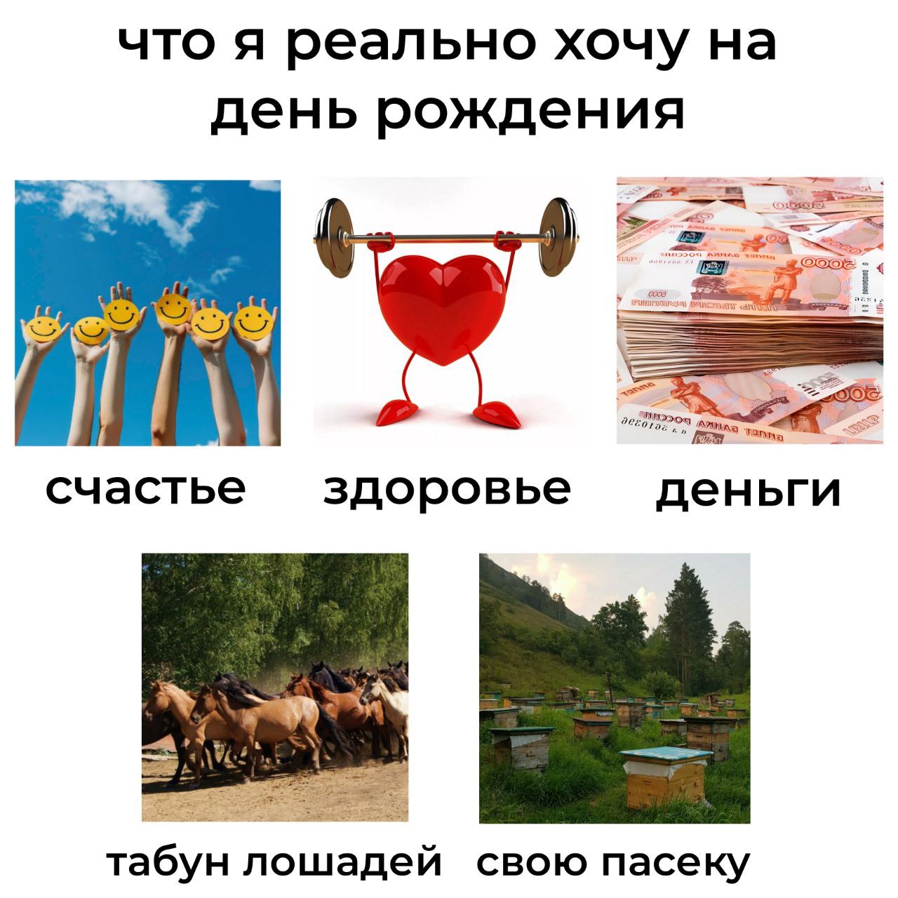 что я реально хочу на день рождения счастье здоровье деньги табун лошадей свою пасеку