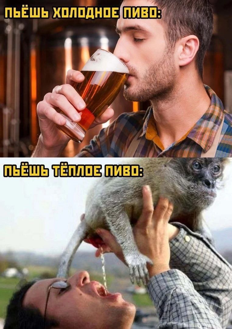 i ПЬЁШЬ ХОЛОДНОЕ(ПИВО if С 7А 4