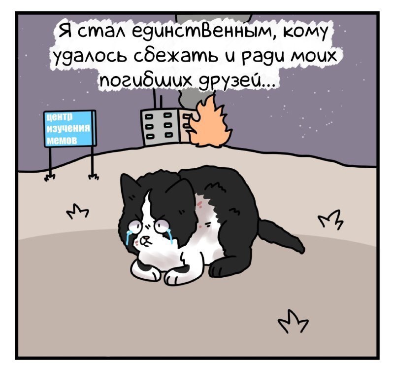 Я стал кому удалось сбежать pagu MOUX gpy3eu