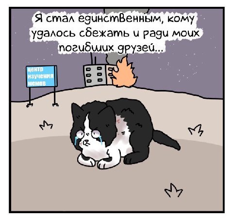 Я стал кому удалось сбежать pagu MOUX gpy3eu