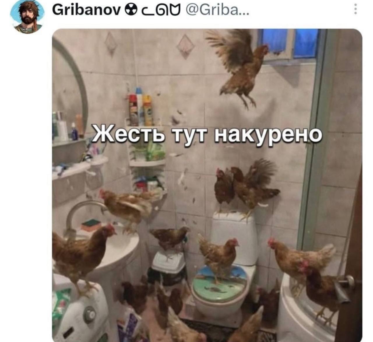Gribanov @Griba... Жесть тут накурено