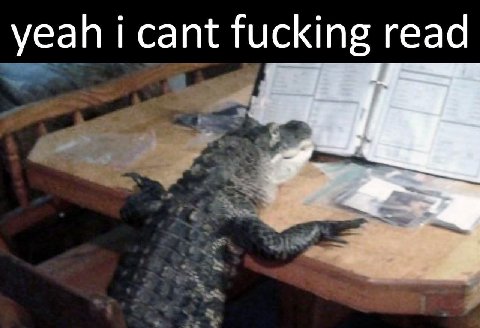 yeah cant fucking read