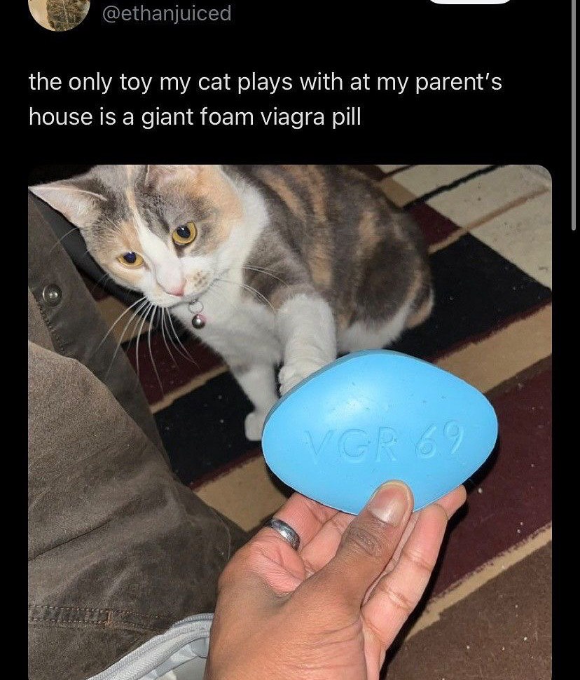 the only toy my cat plays with at parent’s house is a giant foam viagra pill