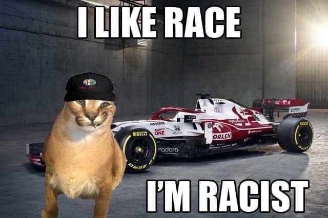 LIKE RACE