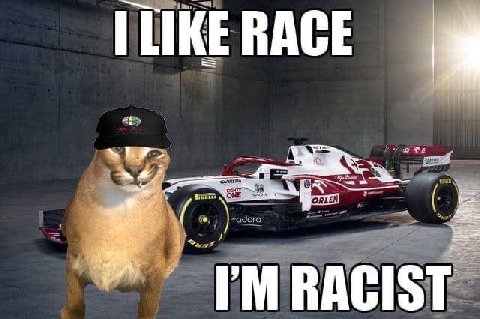LIKE RACE