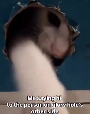 tothe personioniglonyhole's, to|the/person/onjglory hole}s'