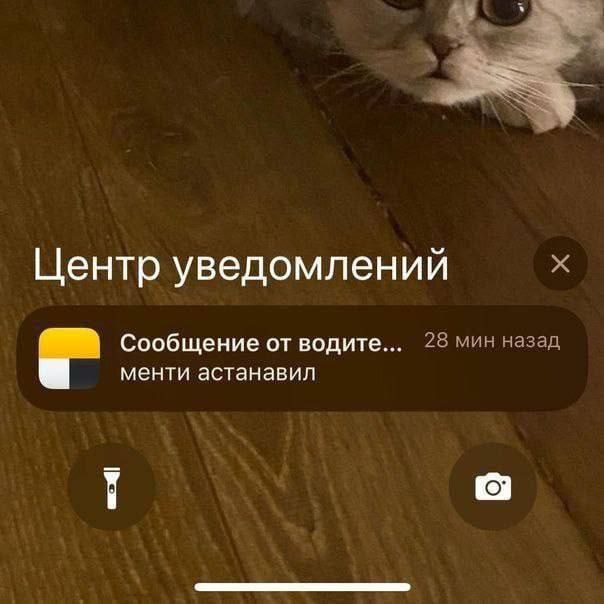 Центр уведомлений Сообщение от водите... 28 мин назад менти астанавил