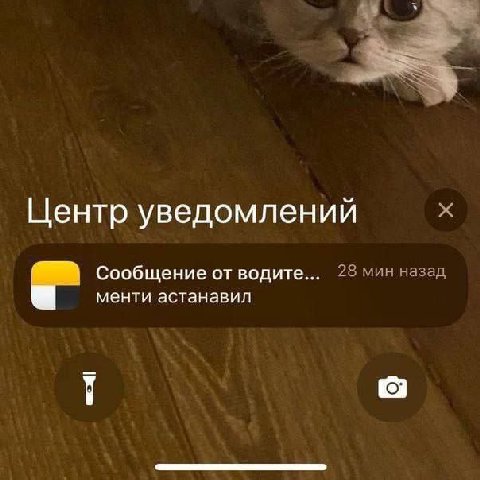 Центр уведомлений Сообщение от водите... 28 мин назад менти астанавил
