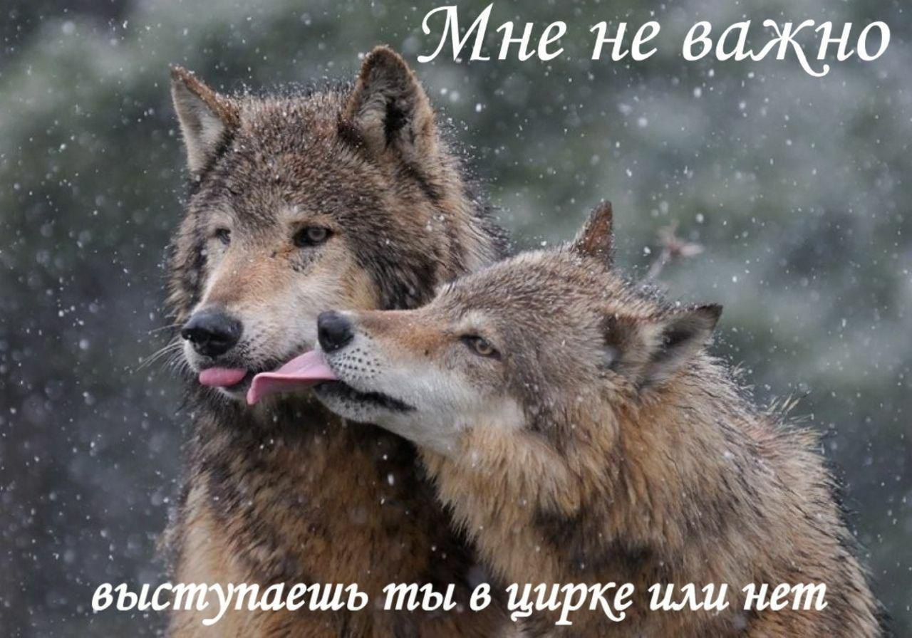 придумайте шутку плис