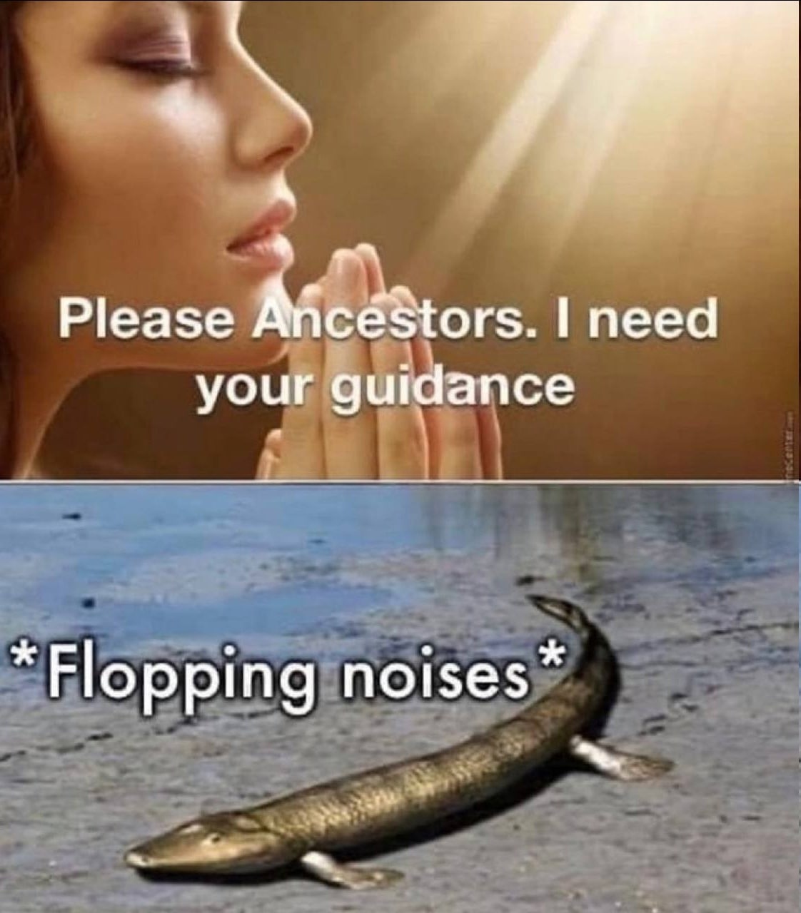 Please пееа your uidance Flopping noises