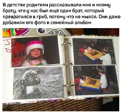 В детстве родители рассказывали мне и моему что у нас был ещё один брат, который превратился в гриб, потому что He мылся. Они даже добавили его фото в семейный альбом. a 65