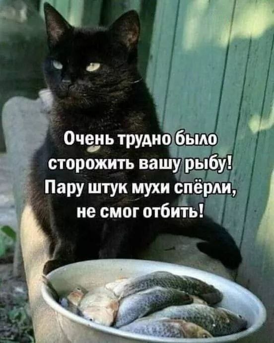 Очень трудно было сторожить вашу рыбу! Пару штук мухи сперли, не смоготбить!