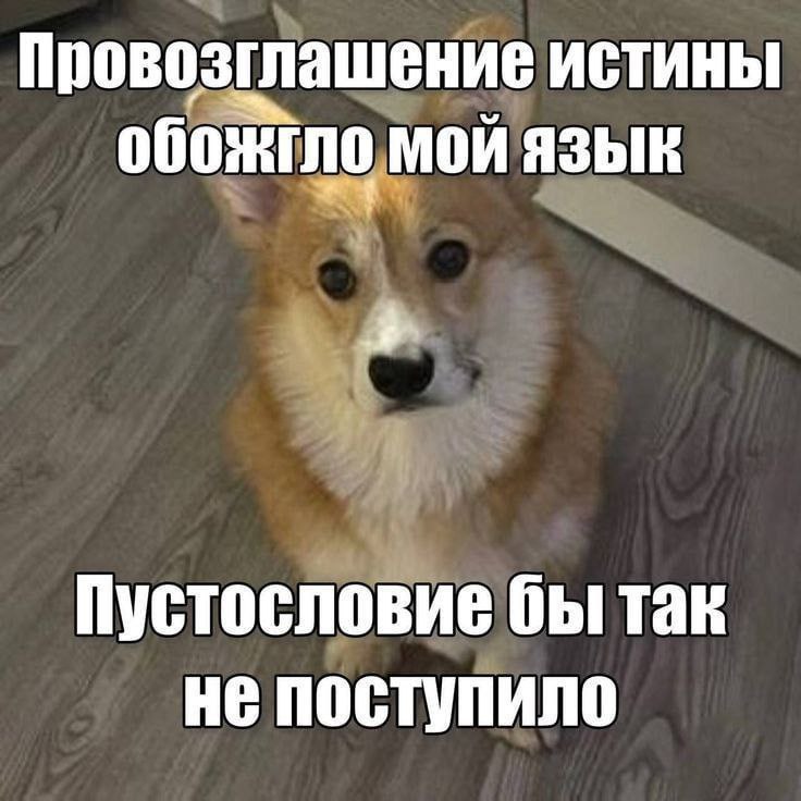 Провозглашение истины обожгло мой язык 3 Пустословие бы так He поступило