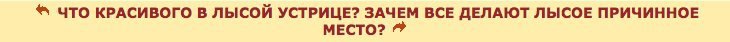 ЧТО КРАСИВОГО В ЛЫСОЙ УСТРИЦЕ? ЗАЧЕМ ВСЕ ДЕЛАЮТ ЛЫСОЕ ПРИЧИННОЕ МЕСТО?